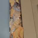 4Pcs Artificial Eucalyptus Leaves Stems 33.8 Eucalyptus Branches Orange Fake Fall Flowers for Home Fireplace Farmhouse Party Wedding Table Bathroom Autumn Dcor