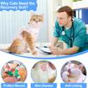 Cat Recovery Suit Female, Breathable Cat Onesie After Surgery Female for Abdominal Wounds or Skin Diseases, Surgery Recovery Suit Kitten Onesie After Spay Wear Anti Licking, Koala Small