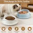 Ant Proof No Spill Ceramic Cat Food Bowl 15 Tilted Neck Support,No Spill,Non-Slip Base,Easy Clean Pet Water Dish for Cat and Small Dog Indoor or Outdoor Use