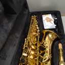 Alto Saxophone Eb beginner Saxophone includes brush canvas suitcase glove whistle piece cork plaster wipe cloth neck strap and other accessories (Gold)