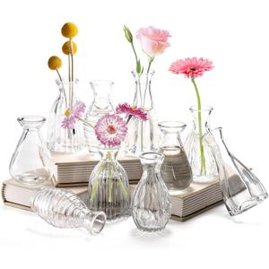 SOUJOY 10 Pack Small Glass Bud Vase, Mini Flower Vase for Centerpieces, Clear Vintage Floral Bud Vases for Home Decor, Weddings, Floral Arrangements, Events, Parties