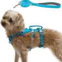 Escape Proof Dog Harness and Leash Set, Lightweight Dog Harness with Lift and Assist Handle, No Pull Reflective Pet Vest for Small Medium Dogs, Ideal for Puppy Walking and Training (Blue, XS)