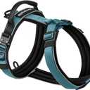 Premium Y-Shaped Dog Harness for Training & Daily Walk,No-Pull Adventure Harness with Handle & 3 Leash Hook Points,Durable Nylon (SteelBlue)