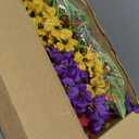 Zeyune 48 Bundles Artificial Flowers for Outdoor Fake Flowers UV Resistant Fake Plastic Plants Faux Plants for Decoration Hanging Planters Indoor Outside Patio Garden Porch Home (Elegant Style)
