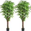 6.2ft Ficus Artificial Trees with 3 Natural Curved Trunks, 74" Tall Lush Faux Tree for Home Decor Indoor, Green Lifelike Fake Ficus Tree Plants (Set of 2)