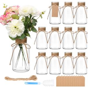 12 Pack Glass Flower Vases with Rope,Brajttt Vintage Bud Vases in Bulk,Mason Jars for Centerpieces,Flower Vase for Centerpieces and Tag for Weddings,Home Decor & DIY Projects