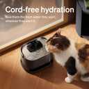 PETLIBRO Cat Water Fountain, Cordless Pet Water Fountain Battery Operated, 2.5L/84oz Dockstream Water Fountains for Cats Indoor, Cat Fountain with Stainless Steel Tray, Easy to Clean BPA-Free