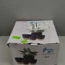 12/10/8 Inch Self Watering Pots for Indoor Plants Plastic Large Plant Pot for Outdoor Plants, Water Level Window & Spacious Reservoir Flower Pots Decorative Planter with Drainage and Tray (Black)