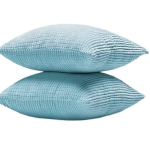 2 Piece Baby Blue Pillowcase 23x23 in