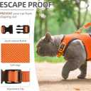 PUPTECK Soft Mesh Cat Vest Harness and Leash Set Puppy Padded Pet Harnesses Escape Proof for Cats, Dogs Rabbits Bunny, Orange, XL