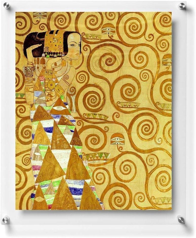 B&NN Double Panel Floating Clear Acrylic Wall Mounted Sign Frame Certificate Frame Wall Photo or Document Frame (11x14)