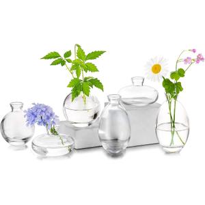 Glass Bud Vases Set of 6, Hewory Cute Clear Small Vases Handmade, Mini Glass Flower Vase for Floral Arrangement, Tiny Centerpiece for Wedding Party Events Home Office Table Decor (Not Include Flower)