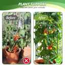 6 Pack Tomato Cage for Garden & Pots, Rust-Resistant Tomato Stakes Plant Cage Trellis Support for Climbing Vegetables Plants Flowers - 48 Inch