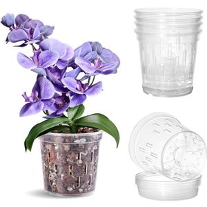 TRUEDAYS Orchid Pot with Saucers  4 Pack 6 Inch Clear Orchid Pots with Drainage Holes for Repotting  Ideal for Healthy Root Growth  Sturdy Plastic Plant Pot for Indoor & Outdoor Plants