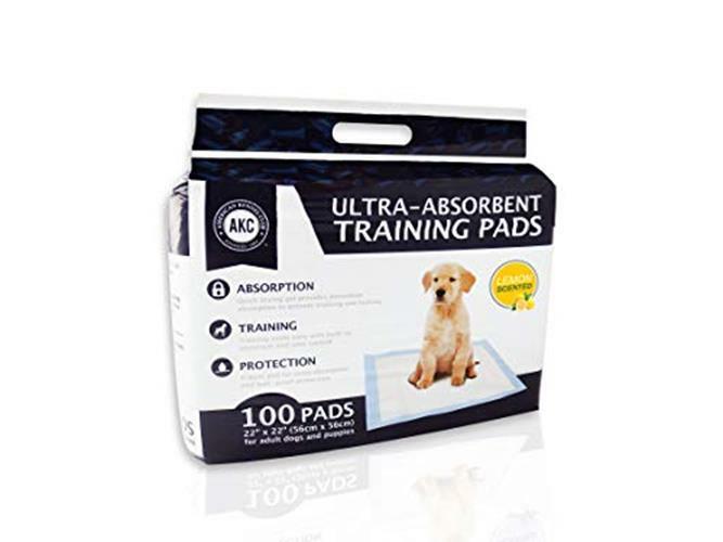 Pee Pads for Dogs ,Disposable Dog Traning Pads Leak-Proof Dog Pee Pads Extra Large,Quick-Drying Absorbent Wee Wee Pad for Dogs Puppy Pad 22"x22", 100 Count