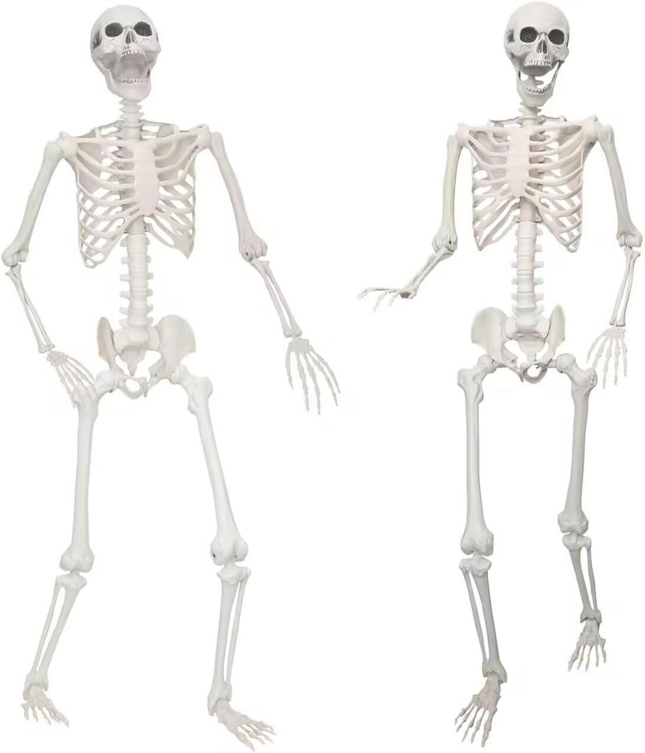 Lodou 2 Pack 5.4ft/165cm Life Size Skeleton Halloween Skeletons,Full Body Human Bones with Movable Joints for Indoor Outdoor Halloween Decor