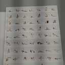 2,100 Asanas: The Complete Yoga Poses