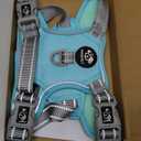 PHOEPET No Pull Dog Harness, Unique Colors Reflective Adjustable Dog Vest, with Soft Training Handle Metal Clips for Small Medium Large Dogs (Mint Green Base & Grey Straps,M)