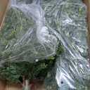 Set of 2 Artificial Cedar Topiary Christmas Trees, 3FT UV-Resistant Faux Cypress Shrubs with Ground Spikes  Tall Evergreen Decorative Plants for Outdoor and Indoor Porch, Patio, and Garden