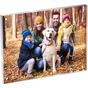 6x8 Acrylic Picture Frame 1 Pack, Clear Freestanding Double Sided Frameless Magnetic Photo Frames, Desktop Display Decor Gift