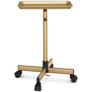 TASALON Premium Salon Tray on Wheels, Aluminum Salon Rolling Tray Trolley for Salon Essentials, Adjustable Height Provides Ample Storage for Hairstylist Tray, Tattoo Tray and Clinic Tray Use, Golden