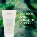 Aveda Foot Relief Moisturizing Creme | Exfoliates, Softens & Smooths Dry Feet | with Jojoba, Peppermint, Tea Tree, Castor Oils, 4.2 Fl Oz