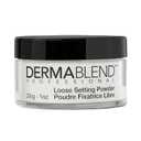 Dermablend Loose Setting Powder, Face Powder Makeup & Finishing Powder for Light, Medium & Tan Skin Tones, Original Translucent