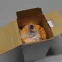 Zak Designs Kelso Toddler Cups For Travel or At Home, 12oz Vacuum Insulated Stainless Steel Sippy Cup With Leak-Proof Design is Perfect For Kids (Zaksaurus) (Dinosaur)