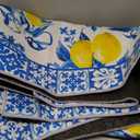 SATINIOR Lemon Area Rugs 5x7 Feet Summer Area Kitchen Rugs Blue and Yellow Lemon Textured Carpet Home Decorations Non Slip Washable Mat Carpet for Living Room Entryway Bedroom Laundry Room Indoor