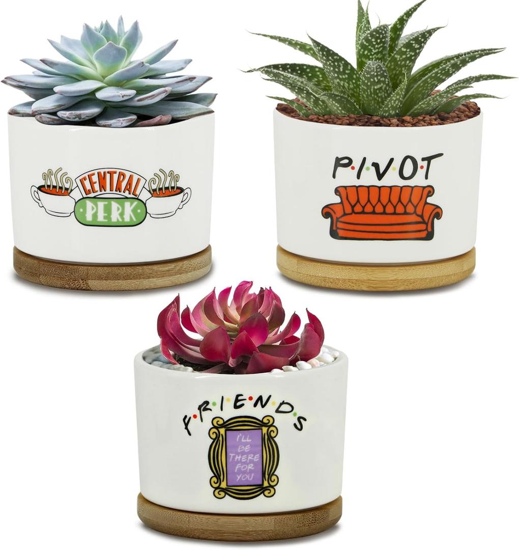 KONROOWEI 3 Pcs Friends tv Show Cute Merchandise Ceramic Plant Pots,Funny Friends Decor Themed Gifts for Women,for House Plants Garden Planters Succulent Pots(Not Included Plants) (White)