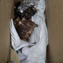 5-Candle Metal Candelabra 10.3 Inch Tall Candlestick Candle Holders for Home Decor Wedding Christmas Church Halloween Party, Red Bronze Tulip