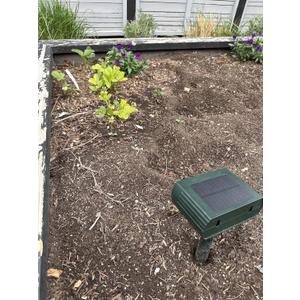 Solar Ultrasonic Animal Repellent Outdoor