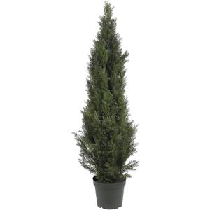 Nearly Natural 5291 5ft. Mini Cedar Pine Tree (Indoor/Outdoor),Green,5'