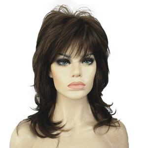 Aimole Shaggy Layered Wig Shoulder Length Women's Wig with Hair Bangs Premium Synthetic Hair Wig for Women (8H14)