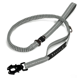 Shock Absorbing Dog Leash with Reflective Stitching - for Small to Large Dogs - Grey