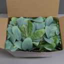 Panelee 20 Pcs Candle Rings Artificial Eucalyptus Candle Wreath Rings Greenery Leaves Boho Candles Garland Pillar for Wedding (Cute Leaf Style)