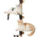 MEWOOFUN Cat Climbing Shelves Tree, 4-Levels Over Door Cat Climber for Jumping, Stable Cat Stairs Hammock for Kittens & Adult Cats (Wooden-65 H x 26.8” L x 13.8” W)
