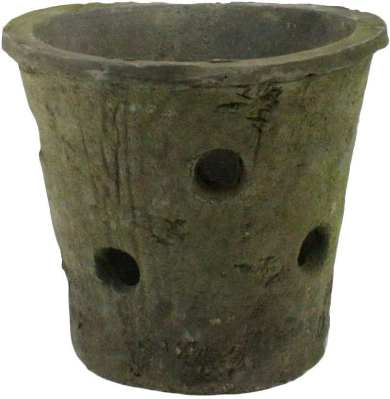 HomArt Rustic Terra Cotta Orchid Pot, Moss Grey, 1-Count