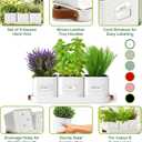 volila Herb Planter Indoor - Set of 3 Warmstone Indoor Herb Garden Pots for Plants with Leather Handled Tray - Window Sill Plant Shelf - Herb Pots with Drainage Holes and Labels