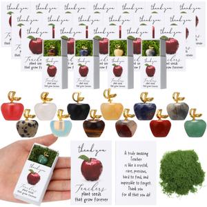 Motipuns 12 Sets Teacher Appreciation Gifts in Bulk Thank You Teacher Desk Decor Stones Emotional Support Green Moss Matchbooks Paperweights Gifts for Women Men Ece Appreciation Day