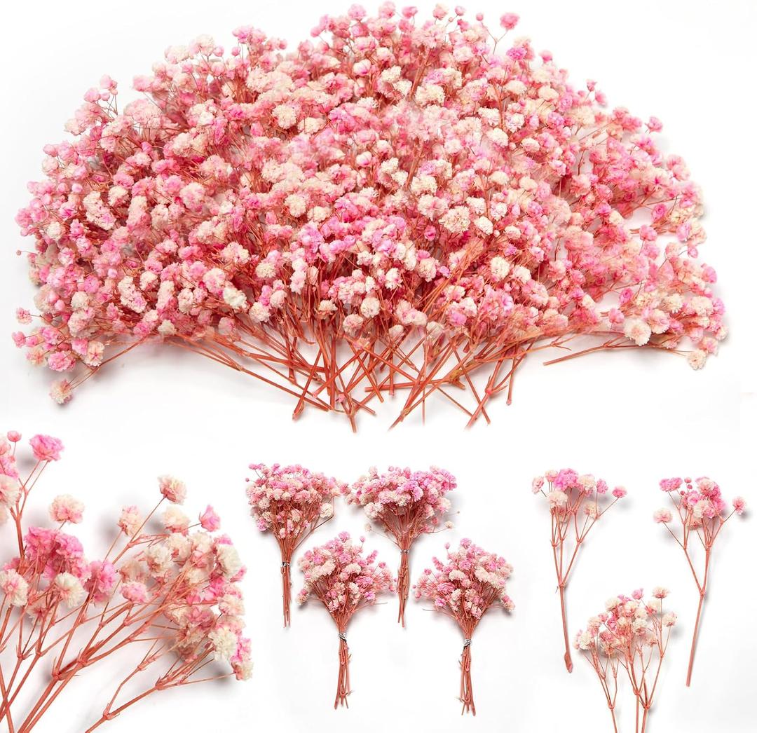 6'' Mini Size Pink & White Dried Babys Breath Flowers 4000+, 70Pcs Natural Gypsophila for DIY Art Crafts, Dry Flowers Bulk for Vase Resin Nails, Valentine's Day Decor, Room Table Wedding Gifts