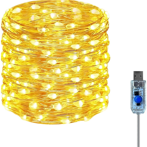 Twinkle Fairy Lights 