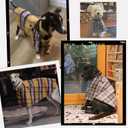 Dog Wool-Blend Luxury Cloak, Timeless Warm Plaid Coat Winter Fall Clothes Outfit Clothing Fits Small & Large Breeds Christmas Valentine Gift (Camel,2XS)