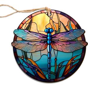 10 x Dragonfly Ornaments, 2D Flat Printed Christmas Ornaments Dragonfly Decor for Home, Dragonfly Christmas Tree Ornaments, Round Dragonfly Ornaments for Dragonfly Lover 3.5 Inches