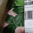 2 Bunchs 21in.White Real Touch Hydrangea Artificial Flowers,with 10pcs Flower Heads 20pcs Green Leaves. Faux Hydrangea Flowers. for Home Office Decor Wedding Party Arrangements (2, White)