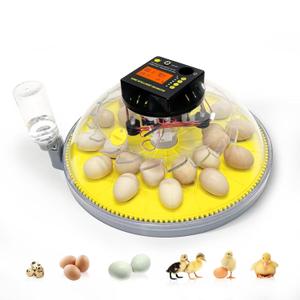 PETUX Incubators for Hatching Eggs - 24 Egg Incubator with Automatic Egg Turning, Humidity and Temp Control - 5 Modes for Chicken, Bird, Quail and Duck Eggs - Ideal for Farmers, Educators and Families (Yellow)