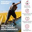 Nutrivein Premium Fadogia Agrestis and Tongkat Ali Supplement with Turkesterone - 1100 mg - 120 Caps - Synergistic Blend for Performance, Strength, & Recovery for Men & Women of All Ages