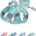 Petank Dog Harness No Pull, Puppy Harness and Leash Set, Step in Dog Harness for Walking, Running, Training, Dog Vest, (Green, M)