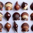 Seashell 1000 Piece Puzzle for Adults, Fun Puzzles with HD Print Poster, 27.5" X 19.7" Dust Free, for Gifts Birthday Holiday Party Family Games Lovers