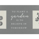 Crystal Art Gallery Plant A Garden Wall Art
20 x 8 in